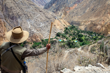 Wall Mural - Peruvian animals, houses, country landscape, colca Canyon