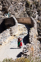 Wall Mural - rice, Peru, workers, camp, work, exploitation, rice paddies, wheat, water, Latin america, photo, picture, landscape