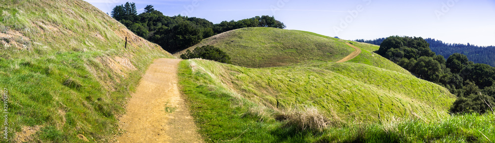 Hiking trail through verdant green hills in Santa Cruz mountains, San Francisco bay area, California - obrazy, fototapety, plakaty 