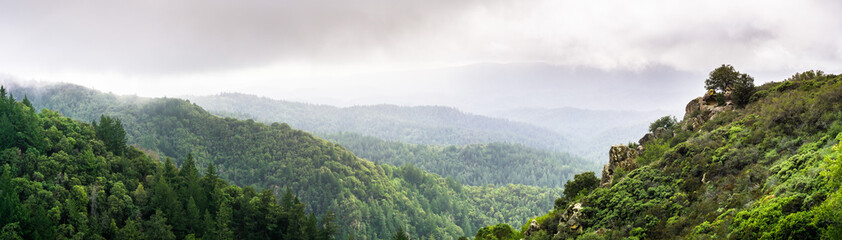 Panoramic view of the green hills and valleys of Santa Cruz mountains on a foggy day, Castle Rock State Park, San Francisco bay area, California