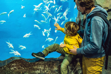 Wall Mural - Father and son look at the fish in the aquarium in oceanarium