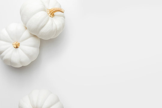 white pumpkins on a white background, creative flat lay thanksgiving concept, top view with copy spa