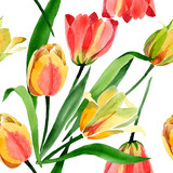 Fototapeta Tulipany - Yellow tulips. Floral botanical flower. Frame border ornament square.