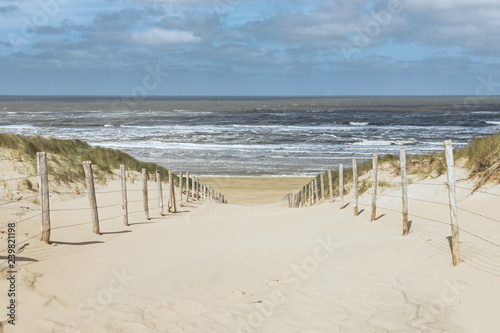 Dekoracja na wymiar  sciezka-przez-wydmy-na-plaze-zandvoort-w-holandii