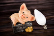 Led lamp and piggy bank lie on a wooden background