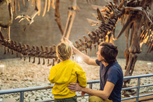 Dad And Boy Watching Dinosaur Skeleton In Museum