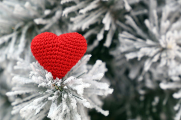 Love heart and Merry Christmas, red knitted symbol in the snow on fir branches. Valentine's day card, concept of romantic love, New Year celebration, winter weather