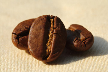 Wall Mural - Coffee beans close up