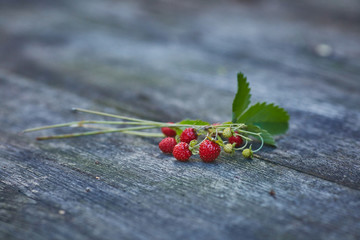 Forest strawberry gathered in jug picked from forest fresh at summer