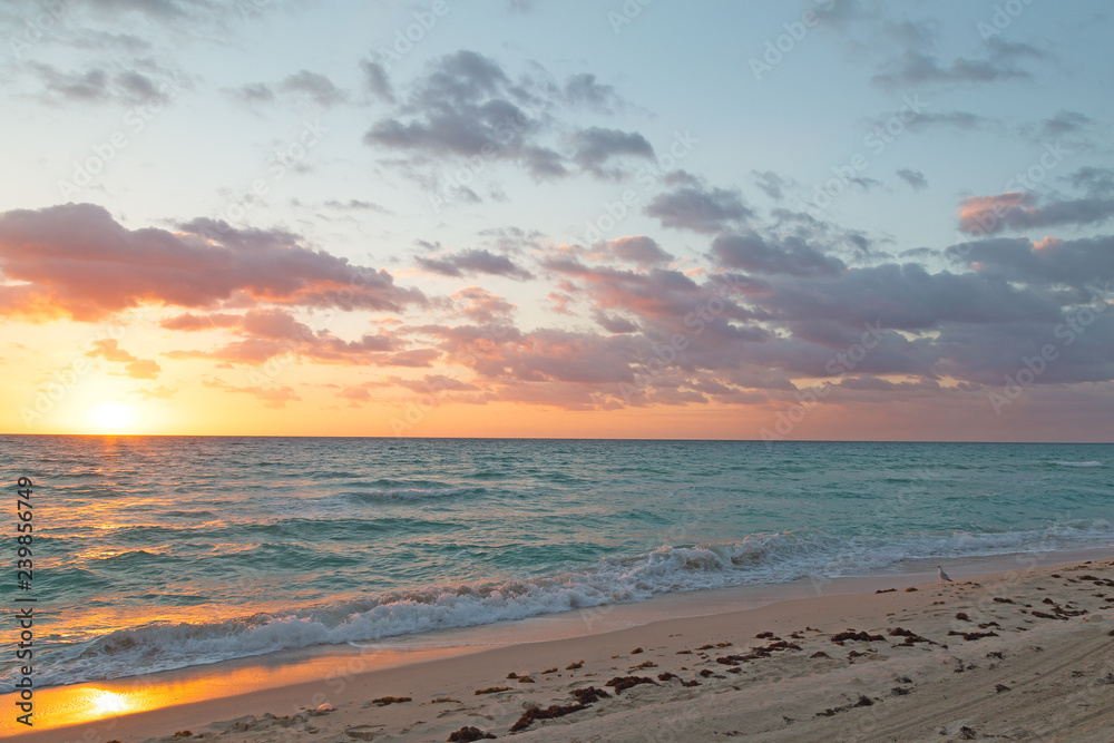 Sunrise reflection on a sandy beach. Golden sunrise over ocean waves ...