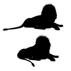 Wall Mural - Silhouettes of a lying lion