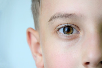 Beautiful boy eye with brown eyelashes. closeup of brown eye with pupil and eyebrow. Kids ophthalmology. White caucasian children male face with open eyes. Healthy eyesight. Looking forward