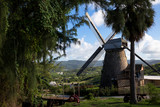 Fototapeta Paryż - windmill in barbados