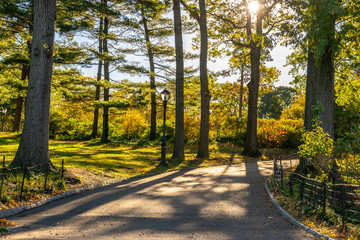 a walking/jogging path through a nature park in manhattan new york city during the autumn/fall seaso