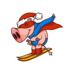 Wall Mural - Funny pig superhero riding on skis. Humanized animal in hat, scarf, red mask and cape. Cartoon vector illustration