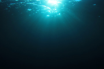 Poster - Underwater blue background 