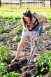 © Volodymyr - A young woman is processing a garden bed in a farm_