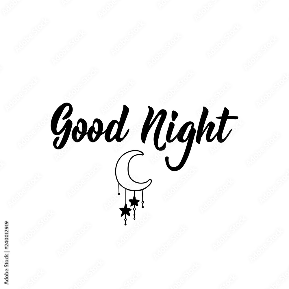 Pretty Script Goodnight Good Night. Lettering. Modern calligraphy vector illustration. Stock ...