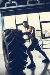Wall Mural - side view of handsome shirtless sportsman lifting tire in gym