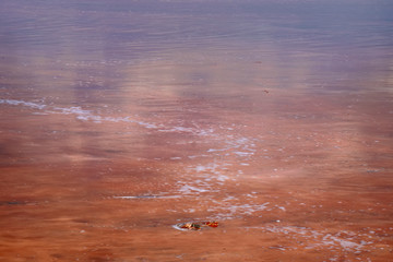 Sosyk unique lake with extremely saline water of red color