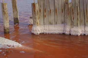 Sosyk unique lake with extremely saline water of red color