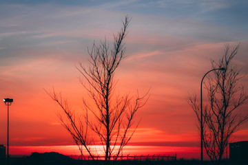 Prairie sunset