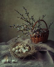 Still Life With Willow Branches And Quail Eggs
