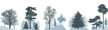 Set Of Winter Forest, Silhouette Of Different Trees. Vector Illustration.