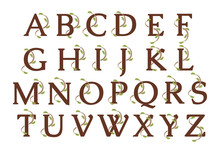 Alphabet Ivy Wood Letters