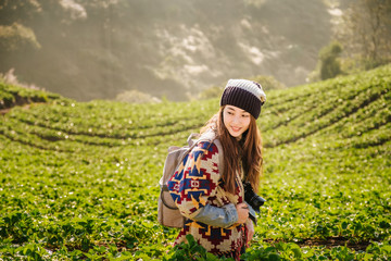 The Asian Female Traveler with his camera shoot of The beautiful Landscape, strawberry plantation in the morning with the mist sky and sunlight at Ban Nor Lae, Doi Ang Khang, Chaing Mai, Thailand.