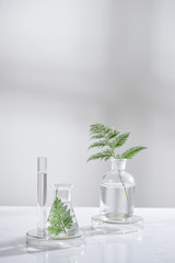 Wall Mural - cosmetic nature skincare and essential oil aromatherapy .organic natural science beauty product .her