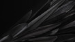 Leinwandbild Motiv Black wing feathers detail, abstract dark background 