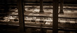 © Steven - Old dusty subway tracks in the city
