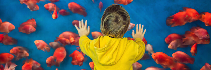 Wall Mural - Little boy, kid watching the shoal of fish swimming in oceanarium, children enjoying underwater life in Aquarium BANNER, LONG FORMAT