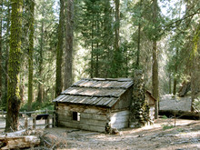 Redwood Log Cabin In Yosemite National Park