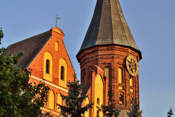 Canvas Print - The tower of Koenigsberg Cathedral against the blue sky. Gothic of the 14th century. Kaliningrad, Russia