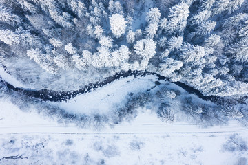 Wall Mural - aerial view on the river and forest at the winter time. natural winter landscape from air. forest un
