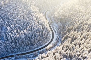 Wall Mural - aerial view on the road and forest at the winter time. natural winter landscape from air. forest und