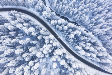Wall Mural - aerial view on the road and forest at the winter time. natural winter landscape from air. forest und