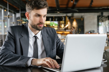 Businessperson on business lunch at restaurant sitting browsing laptop concentrated