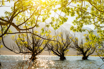 Poster - Beautiful scenery beside the lake at Glenorchy, New Zealand.