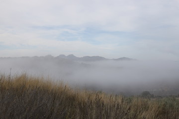  Paisaje con niebla