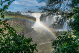 Fototapeta Nowy Jork - Iguazu Falls