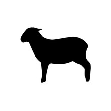 Lamb Silhouette Vector