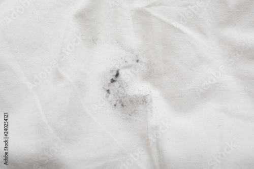 Fotografie, Obraz House dust concept. Ash on white background.