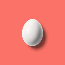 White Egg On Coral Color Background. Coral Color Concept.