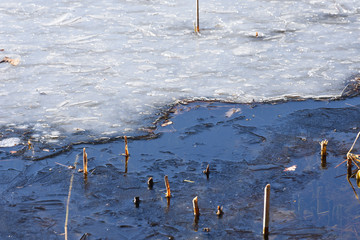 Poster - Melting ice and water in the pond