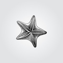 Hand Drawn Starfish Sketch Symbol Isolated On White Background. Vector Of Underwater World Elements In Trendy Style. Engraving Style Pen Pencil Crosshatch.