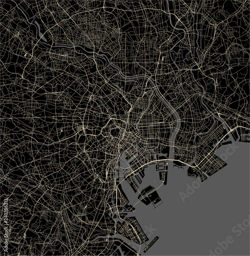 Cuadros en Lienzo map of the city of Tokyo, Kanto, Island Honshu, Japan