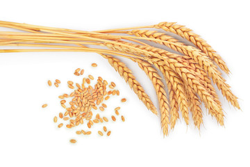 Wall Mural - grain and ears of wheat isolated on white background. Top view